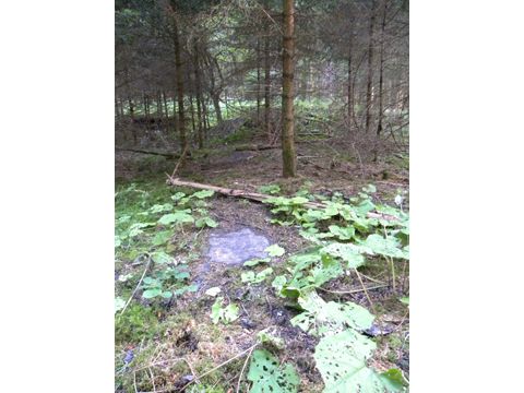 Foto 53